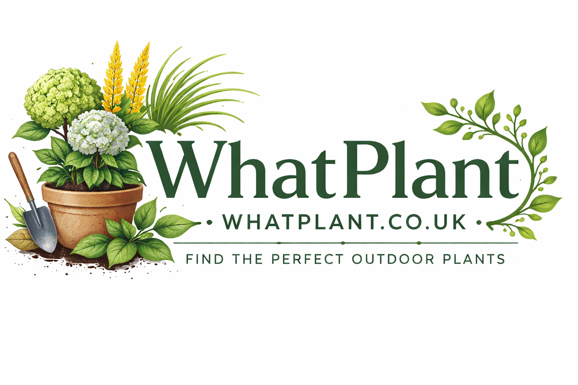WhatPlant
